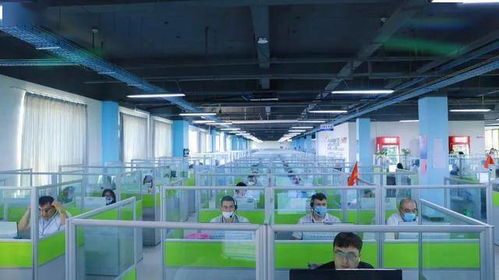 金山驕傲 工業互聯網數據服務領域集體與個人獲市級表彰